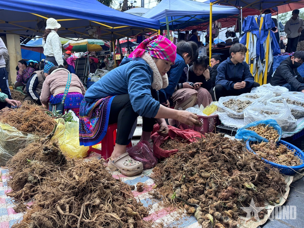 Ống kính bạn đọc: Nhộn nhịp chợ phiên Bắc Hà